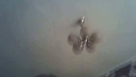 bony_may4 online show from 01.12.25