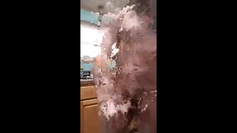 bossusaround online show from 01.11.26