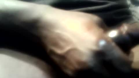 botofogo online show from 12.01.25