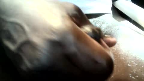 botofogo online show from 01.19.26