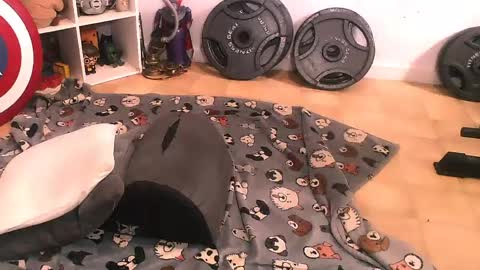 Pumpkin Butt online show from 04.11.26