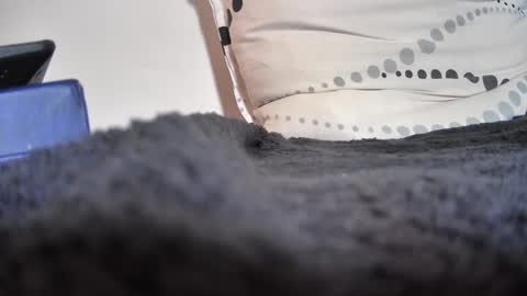 Snapshot of boy3911 chatting on 02.11.25 boy3911 online show from 02.11.25