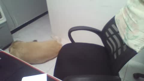 boy_fitbrutal online show from 12.02.25