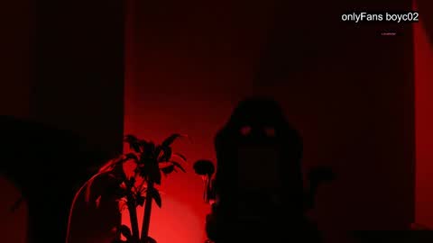 boyc02_ online show from 12.26.24