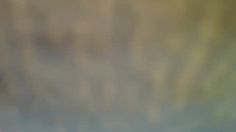 bradynoggle online show from 02.12.25