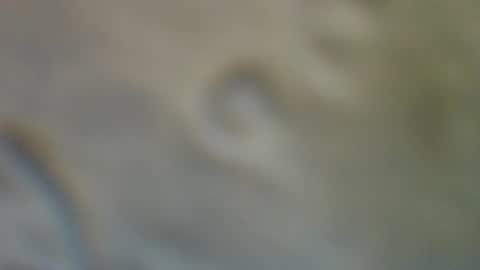 bradynoggle online show from 09.11.25