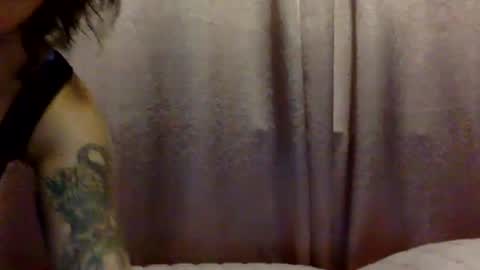 brasilierabrat online show from 06.11.26