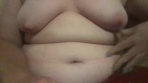 breeder1000 online show from 11.14.25