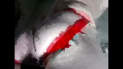 Snapshot of breezyy8 chatting on 11.19.25 Anal-Prince online show from 11.19.25