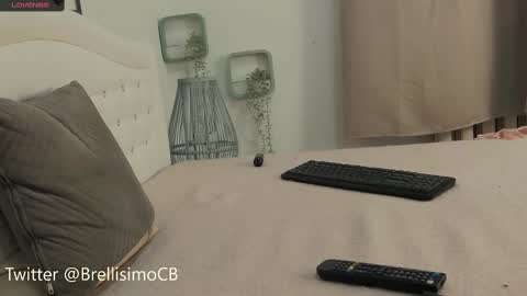 Snapshot of brell_line chatting on 02.17.25 Brelland online show from 02.17.25