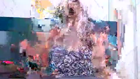 BRENDA VELASQUEZ online show from 03.11.26