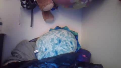 Snapshot of brenttbabe chatting on 02.11.25 MeganDLoves online show from 02.11.25