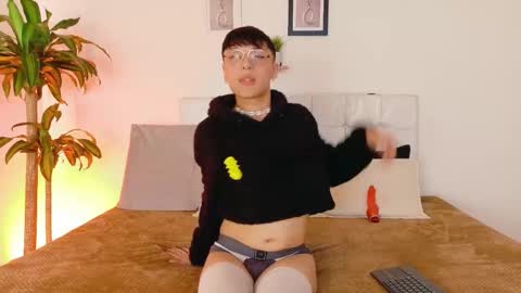 breydihard online show from 09.17.25