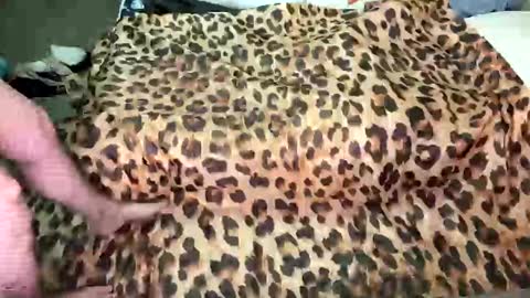 Breezy Xo online show from 11.27.25