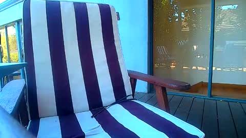 Snapshot of bridie3079 chatting on 02.20.26 Fun Monster online show from 02.20.26