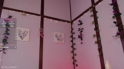 Brie  Ill be away November 2829 and 30. See u on Sunday for more fun online show from 01.04.25