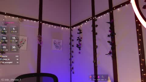 Brie  Ill be away November 2829 and 30. See u on Sunday for more fun online show from 02.12.25