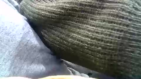 Josh online show from 12.31.24