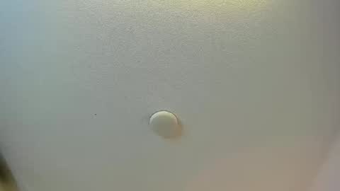 Brittany  online show from 01.08.26