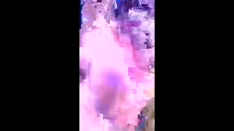 britzchris online show from 03.03.26