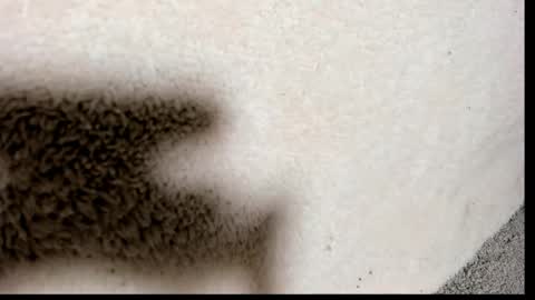 Snapshot of brockhurn_ chatting on 09.15.25 brockhurn_ online show from 09.15.25