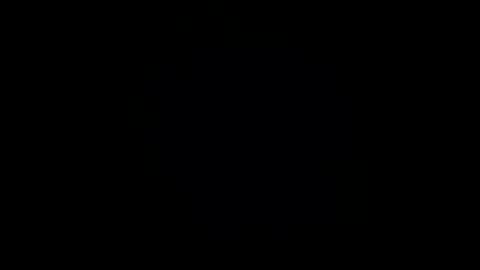 Snapshot of brontefox chatting on 11.03.25 brontefox online show from 11.03.25