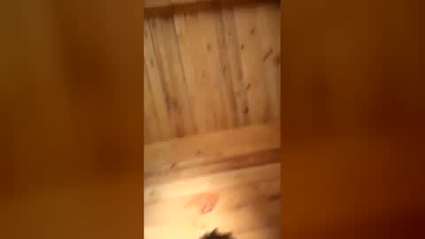 bbc online show from 01.16.26