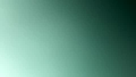 EtherealLilac online show from 01.05.25