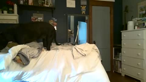 brunettebaby040 online show from 09.13.25