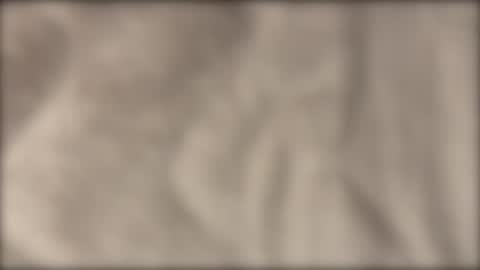 lvdy online show from 02.22.26