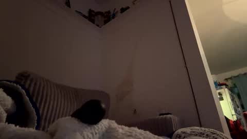 Snapshot of bubblya chatting on 02.20.26 bubblya online show from 02.20.26