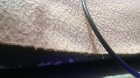 Snapshot of bubumaci53 chatting on 11.30.25 bubumaci53 online show from 11.30.25