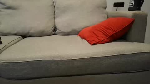 Buck online show from 09.23.25