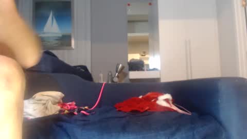 buddiup2 online show from 12.15.24