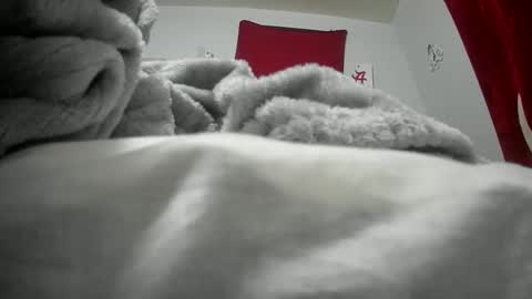 Snapshot of budsonly33 chatting on 12.12.24 budsonly33 online show from 12.12.24