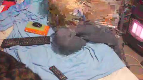 Snapshot of bufu21 chatting on 02.02.25 bufu21 online show from 02.02.25