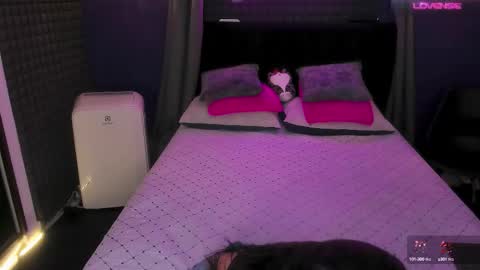 Bunny and The Rock online show from 10.02.25