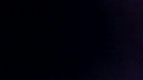 Bull balls online show from 02.11.25