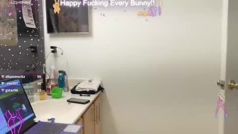 Tokki  bunny  online show from 12.29.24