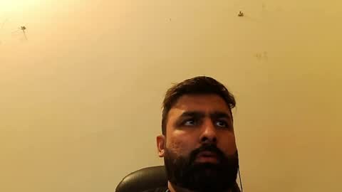 Hairy Arabian online show from 02.20.25