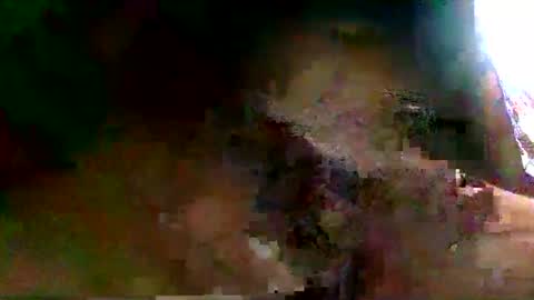 burro3000 online show from 12.13.24