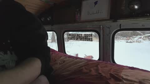 busbuddies online show from 12.29.24