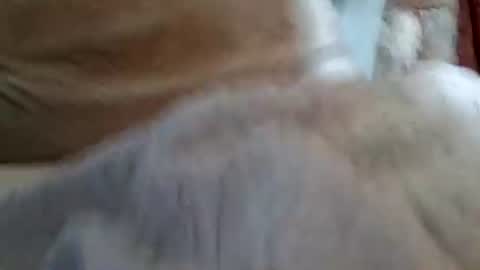 Buster18Hymen online show from 02.01.26