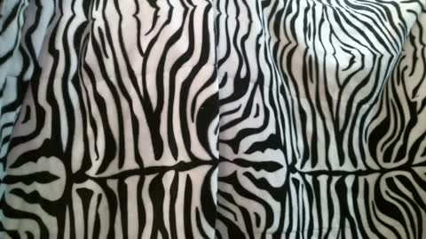 bustinfree online show from 02.28.25