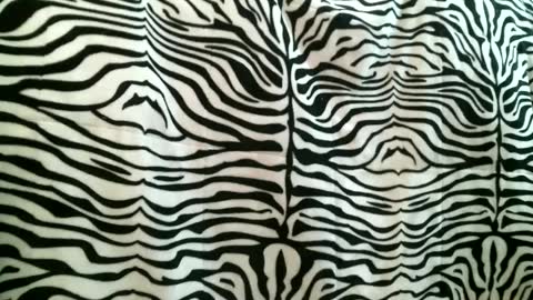 bustinfree online show from 09.16.25