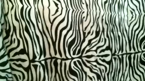 bustinfree online show from 10.18.25