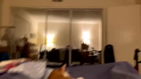 busty_2008 online show from 02.24.26