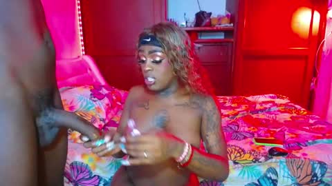 butterfly_rouse online show from 01.09.26