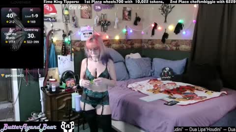 Butterfly and Bear online show from 01.12.25