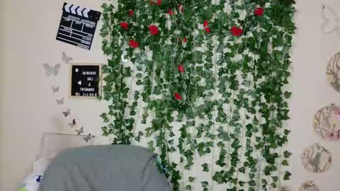 butterfly booty online show from 11.30.25